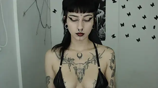 Snapshot of n0sferatus__ chatting on 02/14/25, 03:22 n0sferatus online show from 02/14/25, 03:22