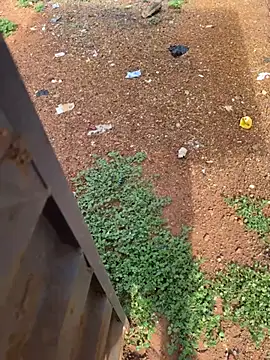 Black-mamba-madingo online show from 04/04/26, 08:23