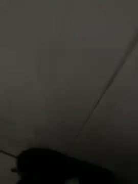 Black-mamba-madingo online show from 04/16/26, 06:19