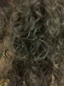 Snapshot of Antoniart_ chatting on 02/09/25, 06:54 Antoniart online show from 02/09/25, 06:54