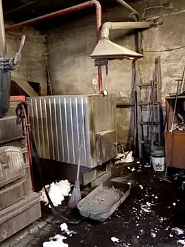 MityaXLoves online show from 02/08/26, 06:17