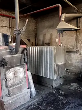 MityaXLoves online show from 04/05/26, 05:59