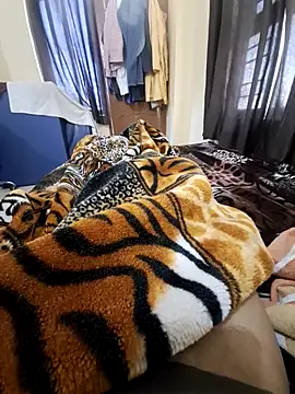 Snapshot of villagb12 chatting on 02/14/25, 04:15 villagb12 online show from 02/14/25, 04:15