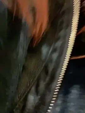 RinaCat online show from 12/24/24, 08:33