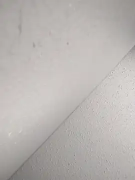 mastbacio online show from 11/20/25, 06:29