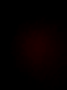 Priya Bong online show from 06/19/26, 01:59