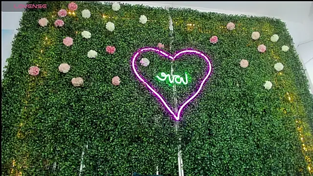 emy 0 online show from 01/04/25, 06:09