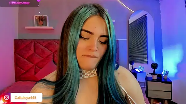 cattaleya    online show from 02/18/25, 06:59