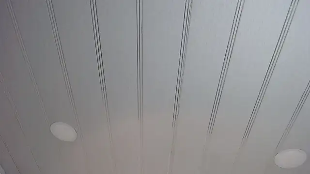 Snapshot of candy_lux_ chatting on 02/24/25, 02:37 candy lux online show from 02/24/25, 02:37