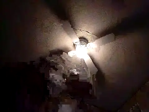 Xoc8  online show from 02/26/25, 06:26