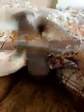 Hard stick007 online show from 01/16/26, 09:57