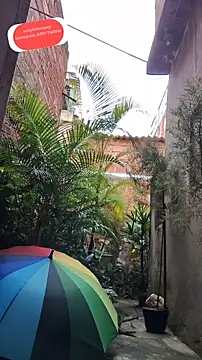 Snapshot of sexyboycolombi4 chatting on 02/15/25, 01:38 sexyboycolombi4 online show from 02/15/25, 01:38