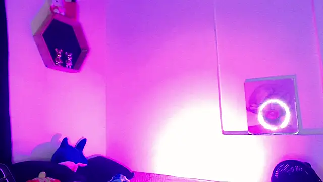 Gorrion   online show from 03/11/26, 03:12