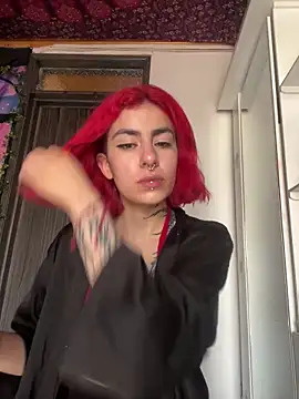 Snapshot of _Artemisa_X chatting on 01/21/25, 04:27 Artemisa X online show from 01/21/25, 04:27