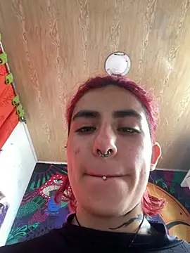 Snapshot of _Artemisa_X chatting on 02/06/25, 03:20 Artemisa X online show from 02/06/25, 03:20