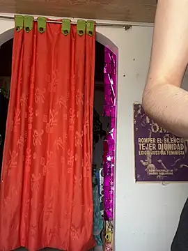 Snapshot of _Artemisa_X chatting on 02/18/25, 07:30 Artemisa X online show from 02/18/25, 07:30