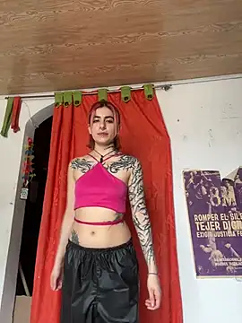 Snapshot of _Artemisa_X chatting on 02/20/25, 06:57 Artemisa X online show from 02/20/25, 06:57