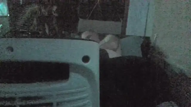 jaxx12369 online show from 02/22/26, 07:01