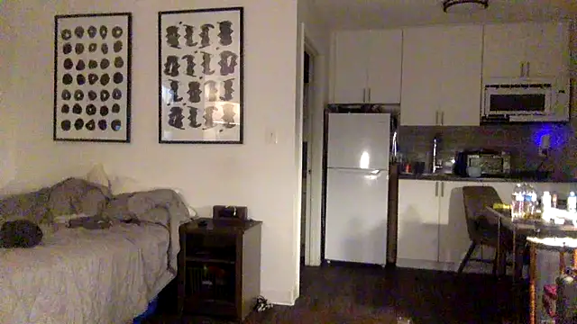 TheOnlyTwinTowers online show from 05/19/26, 04:52