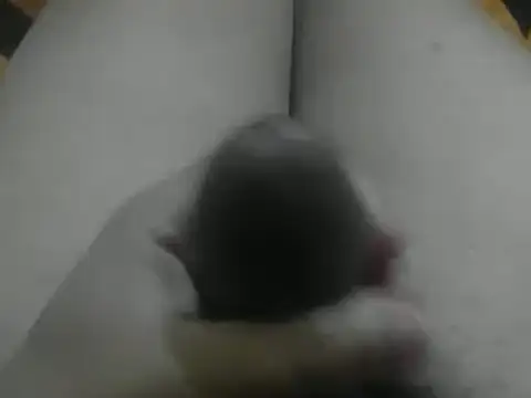 wixssam online show from 01/03/25, 08:43