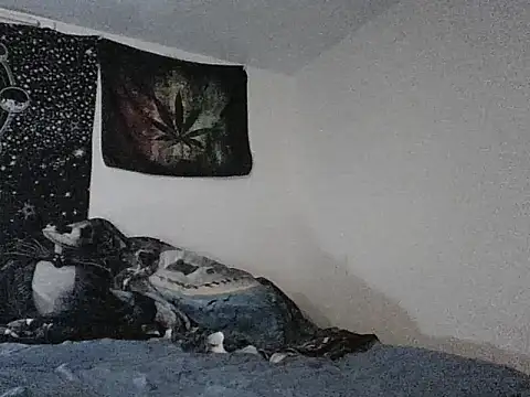 webetokinmo420 online show from 11/29/25, 10:29