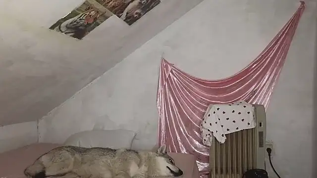 Snapshot of MAMA69LAMA chatting on 03/09/26, 07:40 MAMA69LAMA online show from 03/09/26, 07:40