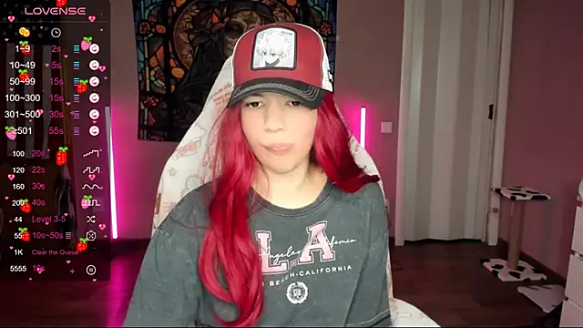 Project hisoka online show from 01/17/25, 04:04