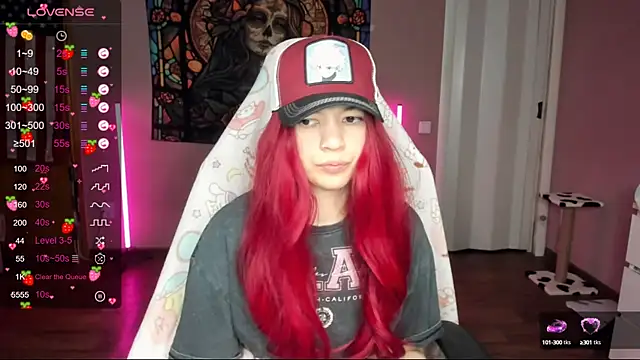 Project hisoka online show from 01/17/25, 09:17