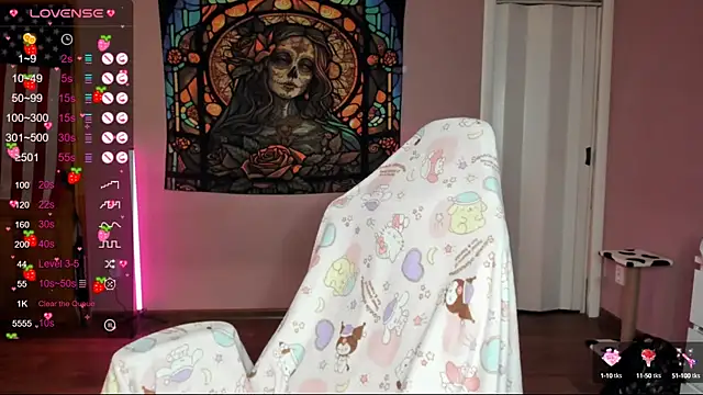 Project hisoka online show from 01/24/25, 02:18