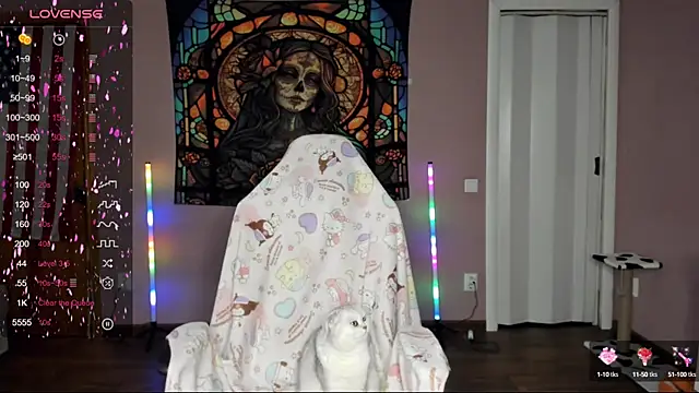 Project hisoka online show from 03/09/25, 11:58