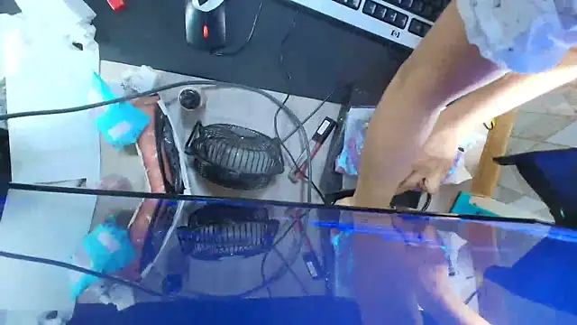 Lilyevansx online show from 10/07/25, 06:05