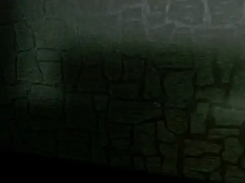 Lilyevansx online show from 10/12/25, 04:06