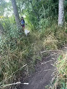 Snapshot of Reinacatchile chatting on 01/31/25, 11:24 Reinacatchile online show from 01/31/25, 11:24