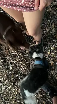 Snapshot of Reinacatchile chatting on 02/06/25, 11:58 Reinacatchile online show from 02/06/25, 11:58