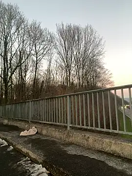 NickyGold Official online show from 01/18/25, 04:10