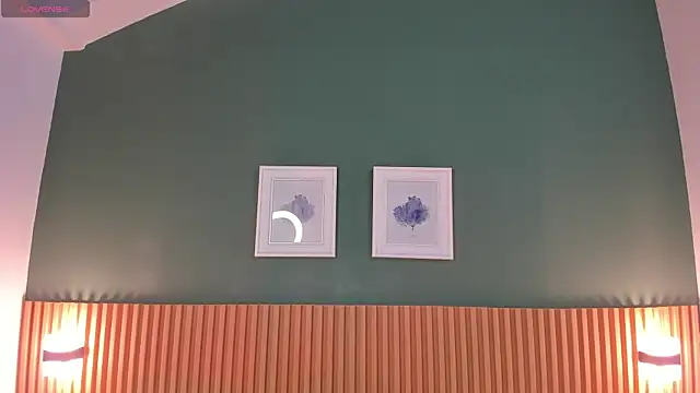 Snapshot of _anavictoria_ chatting on 01/28/25, 06:17 anavictoria online show from 01/28/25, 06:17