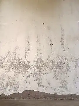 Yasha 14C Creator online show from 11/08/25, 07:19