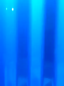 Dusto Meye online show from 02/13/26, 05:42