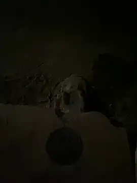 Snapshot of nowex18 chatting on 03/14/25, 05:48 nowex18 online show from 03/14/25, 05:48