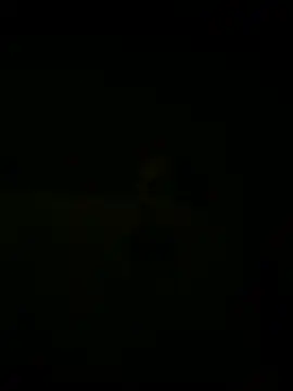 Snapshot of nowex18 chatting on 03/18/25, 05:41 nowex18 online show from 03/18/25, 05:41