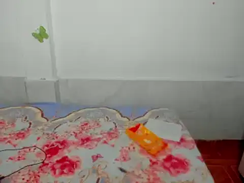 Dana Jeins online show from 02/11/25, 01:20