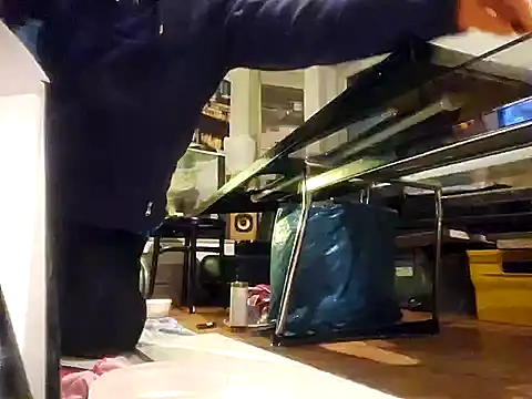 0815lukas2024 online show from 12/07/24, 03:25