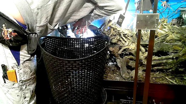 0815lukas2024 online show from 10/07/25, 09:23