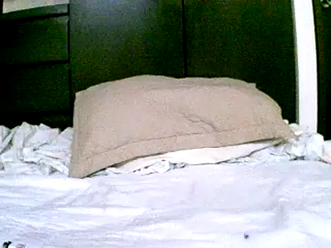 pollarikaaa online show from 12/18/24, 09:51