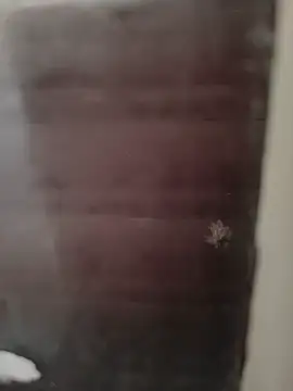 Snapshot of hardgetsex chatting on 09/29/25, 09:08 hardgetsex online show from 09/29/25, 09:08