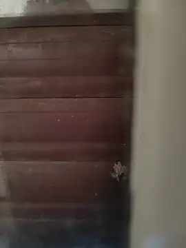 Snapshot of hardgetsex chatting on 10/04/25, 04:05 hardgetsex online show from 10/04/25, 04:05