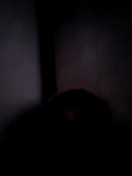 ListedLoin online show from 03/17/26, 03:55