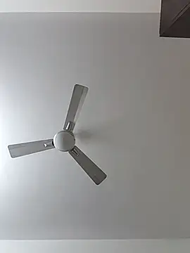 Snapshot of Manboobs178 chatting on 02/11/26, 12:10 Manboobs178 online show from 02/11/26, 12:10