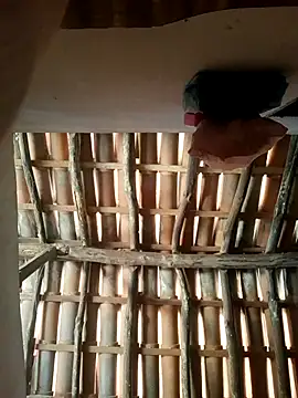 luissilva0071 online show from 02/24/26, 12:25