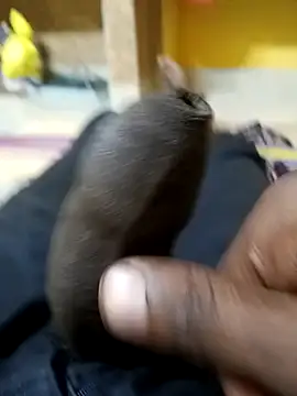 Tamil boy age28 online show from 12/20/25, 03:35